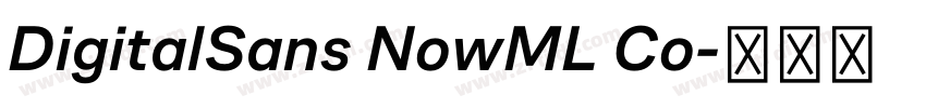 DigitalSans NowML Co字体转换